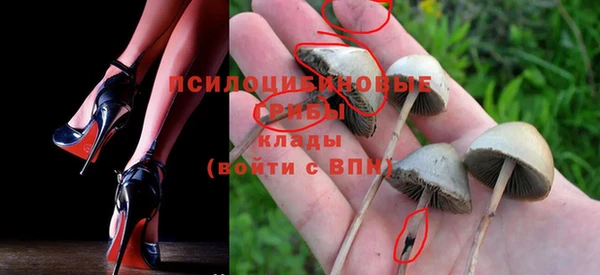 СК Бикин