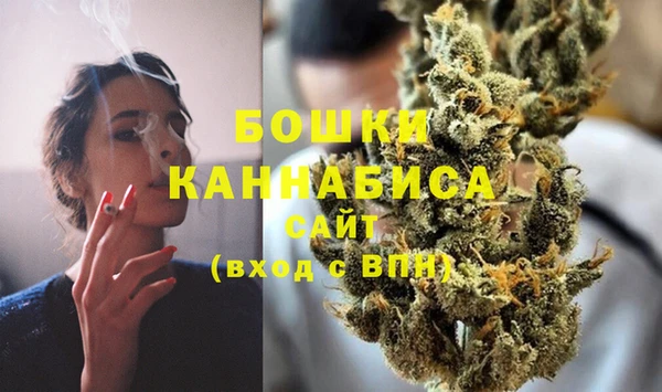индика Билибино