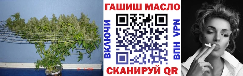 где купить   Чекалин  Дистиллят ТГК гашишное масло 