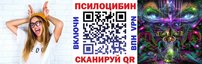 Псилоцибиновые грибы прущие грибы  МЕГА онион  Чекалин  цены наркотик 