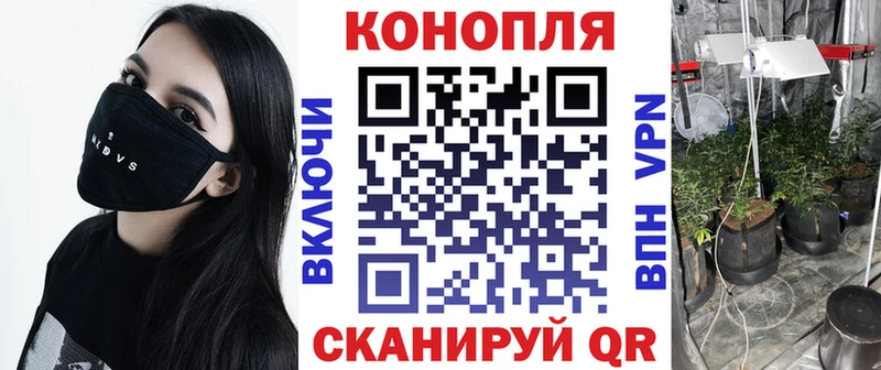 МАРИХУАНА семена Чекалин